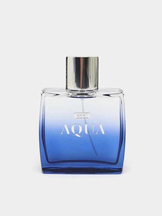 DILIS туалетная вода для мужчин Cool Aqua, 100 мл 