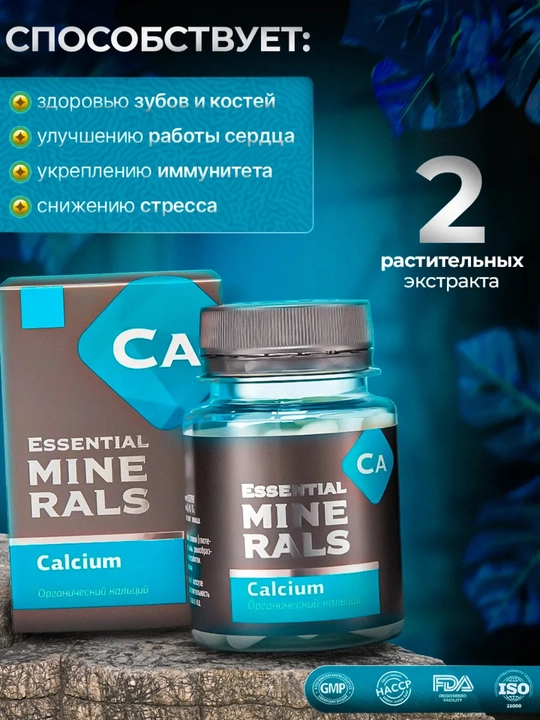 Organik kalsiy, D3 vitamini, K1 vitamini, B6 vitamini, C vitamini, RUX, 60 ta kapsula