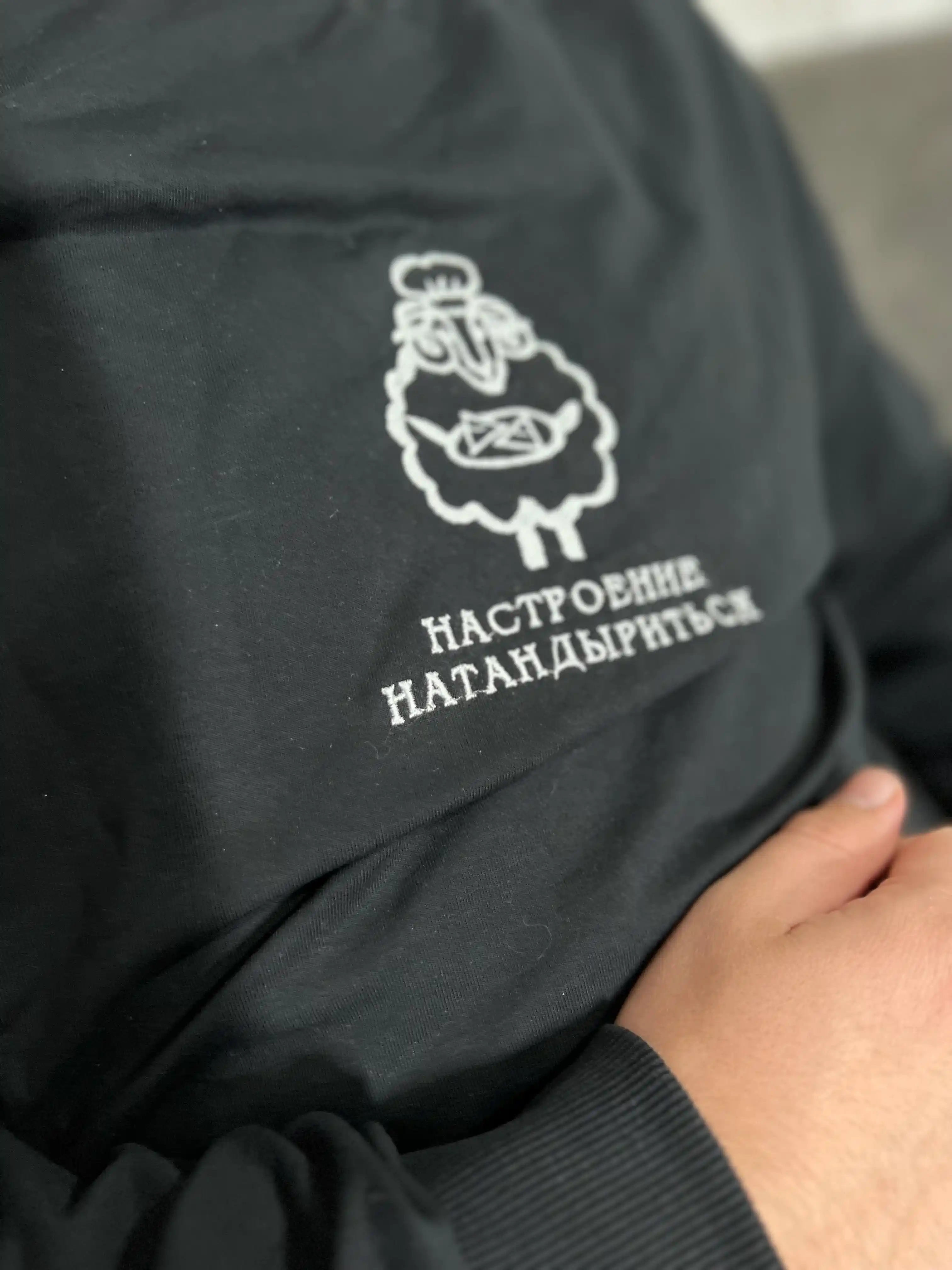 Erkaklar va ayollar uchun svitshot, bosma bilan, katta o‘lchamda