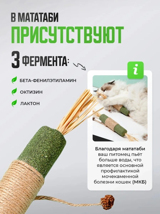 Кошачья мята для кошек, палочка мататаби натуральная дразнилка