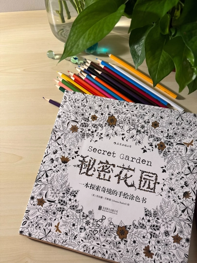 Мандала, антистресс, раскраска, для взрослых, 96 страниц, Secret garden — 781223-IJOD1