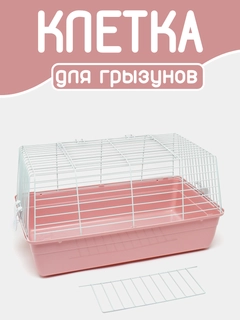 Pastel marjon