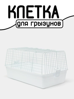 Oq