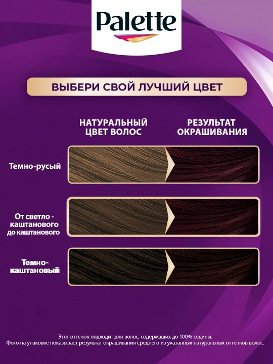 Крем краска Palette Intensive Color Creme RFE3, 4-89, Баклажан