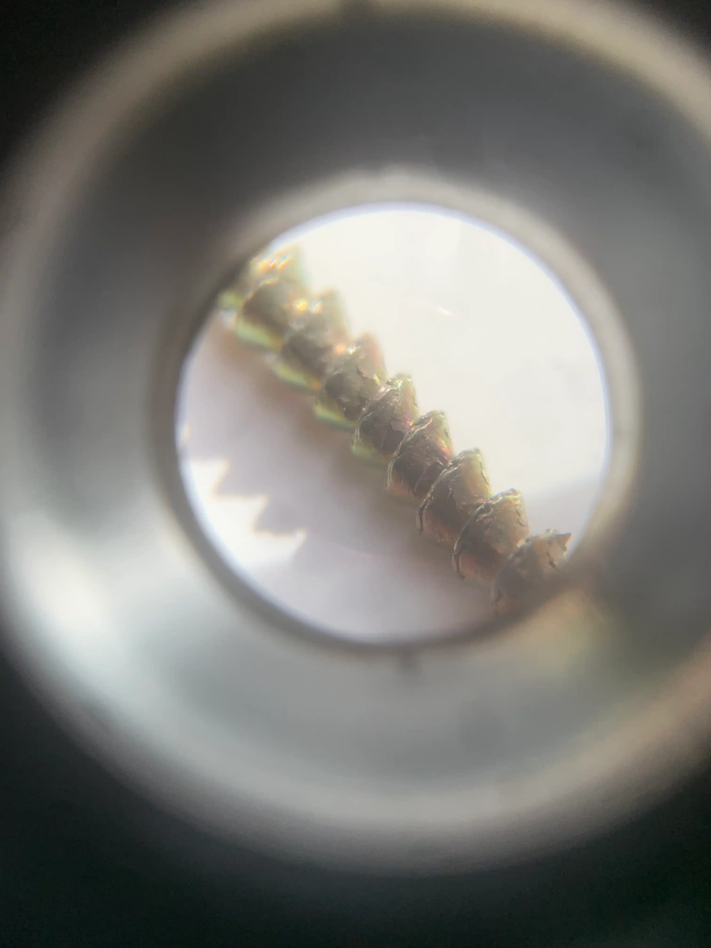 Zargar lupasi, 20 marta kattalashtirish