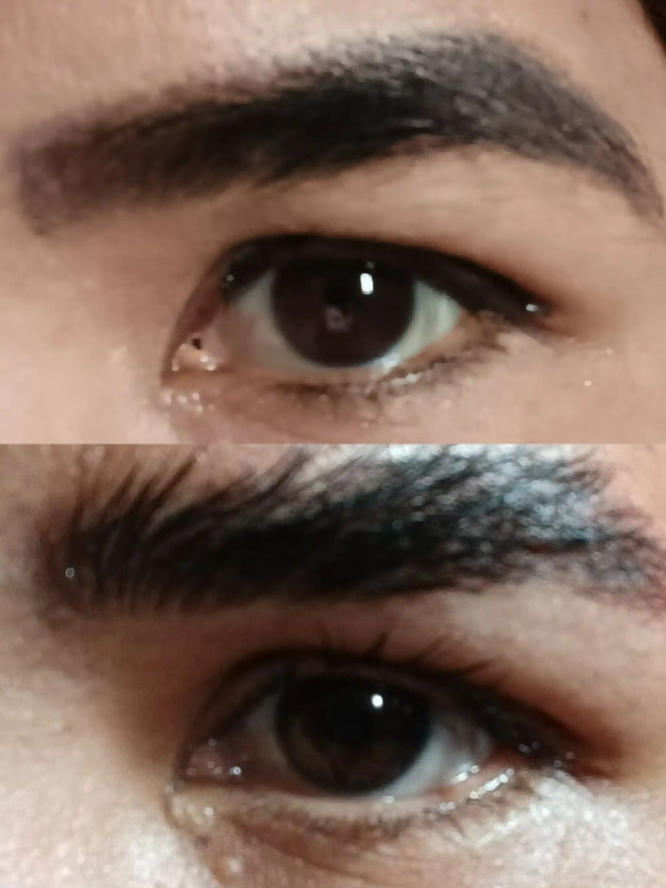 Набор для ламинирования ресниц и бровей, Esqido Lash Lift