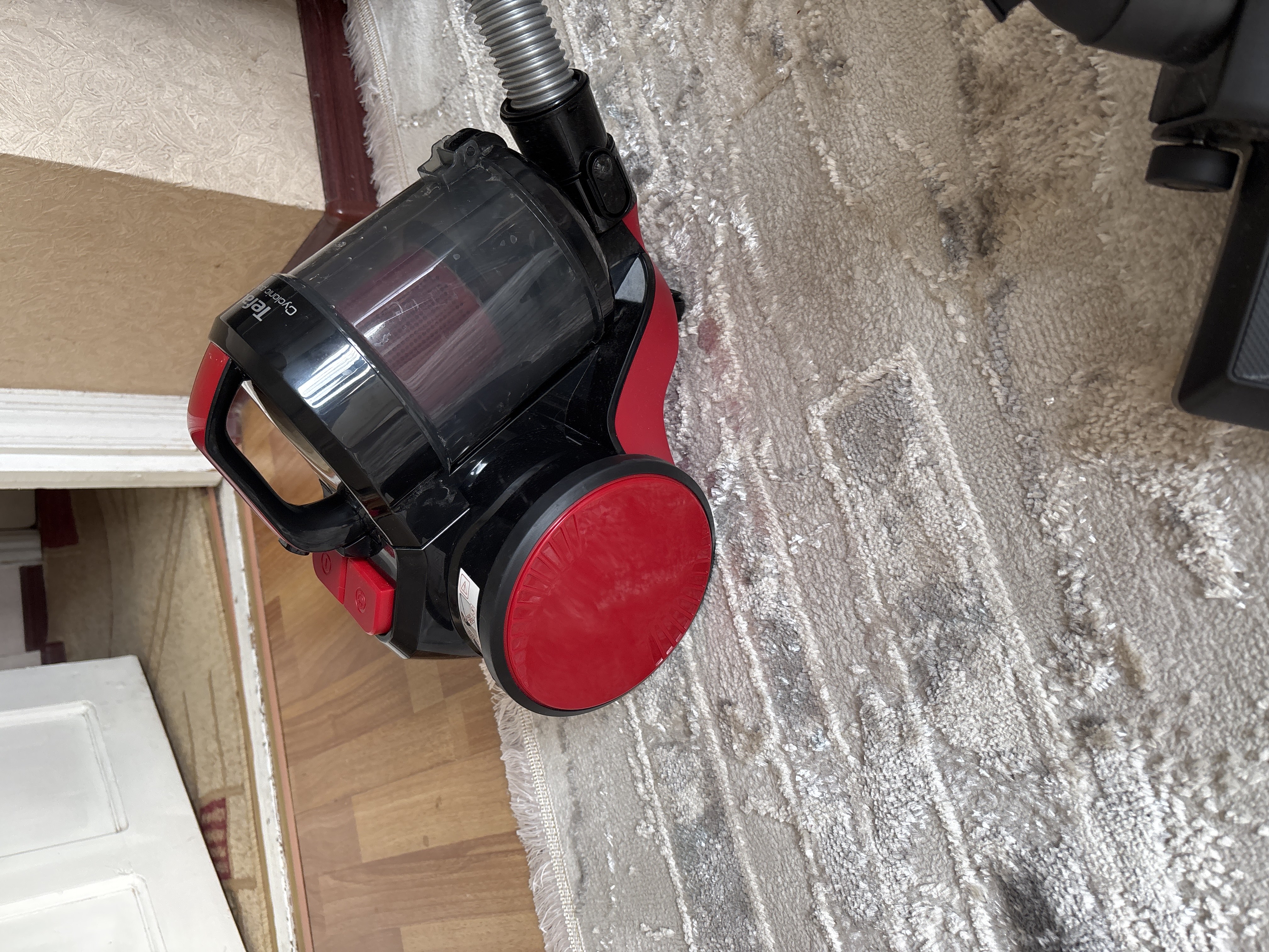 Пылесос с контейнером Tefal Cyclonic Power TW1923RH