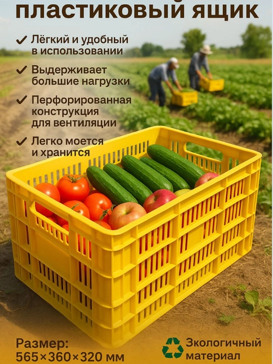 Meva va boshqa mahsulotlarni saqlash va tashish uchun plastmassa idishlar - 
