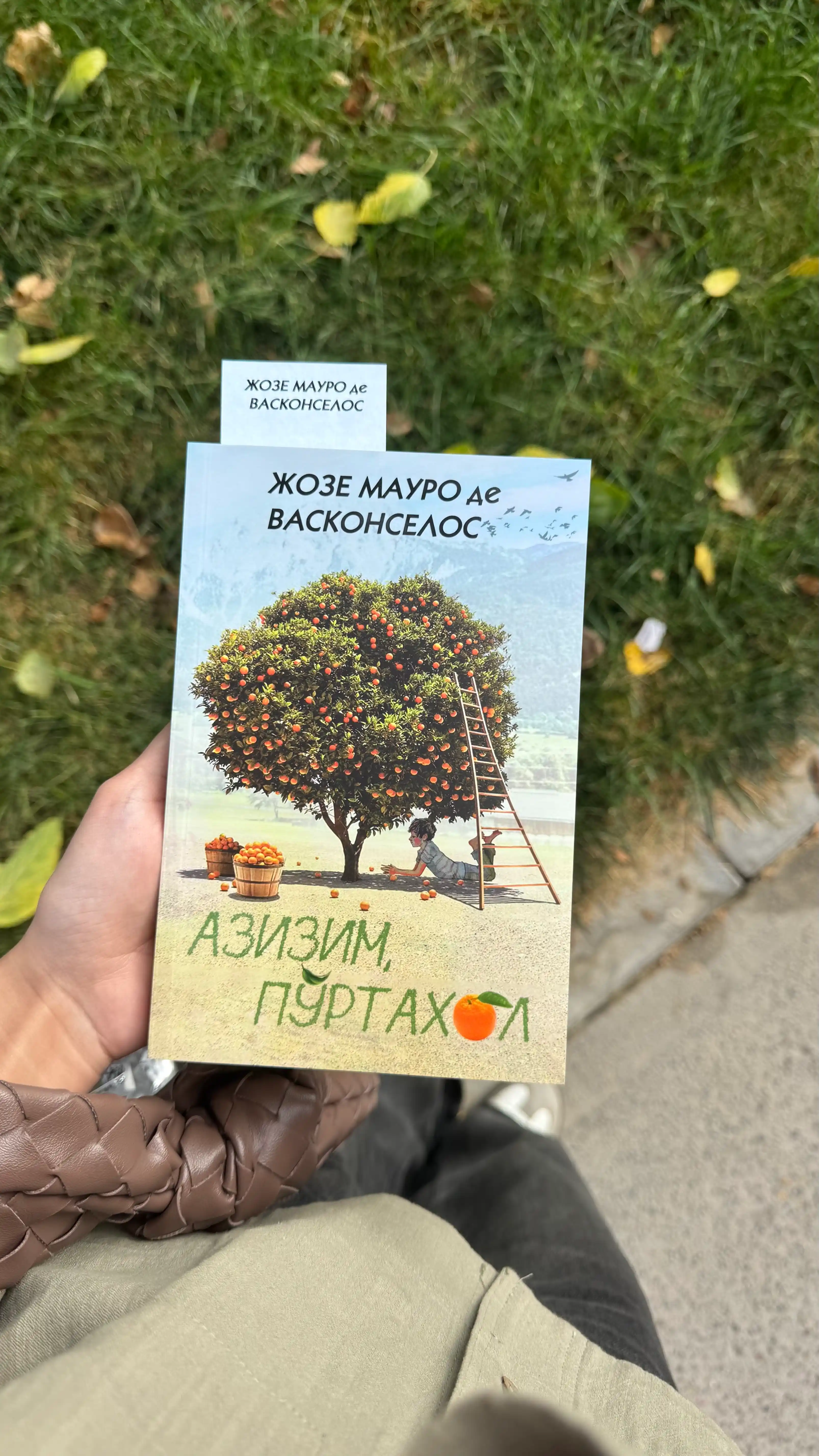 Azizim Po'rtaxol Joze mauro DE vaskonselos, Roman