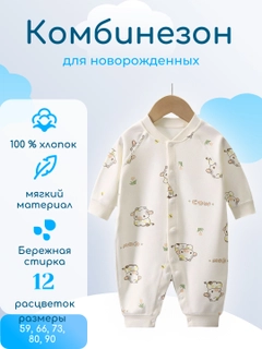 Пудровый