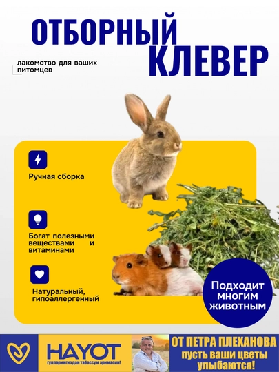 Клевер сушёный для грызунов, морских свинок, хомяков, кроликов морских свинок, шиншилл