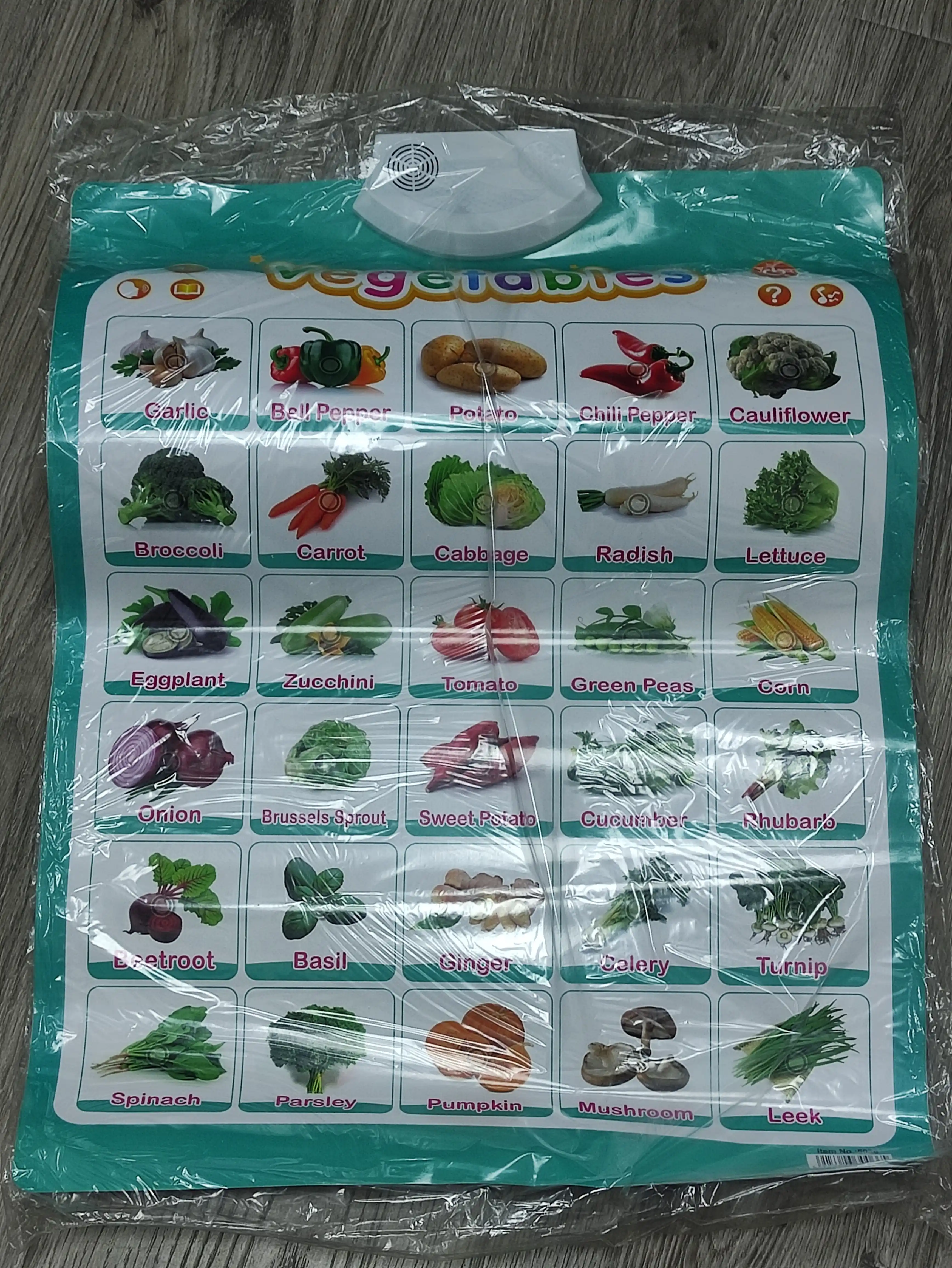 Ovozli ta’limiy va gapiradigan kitob