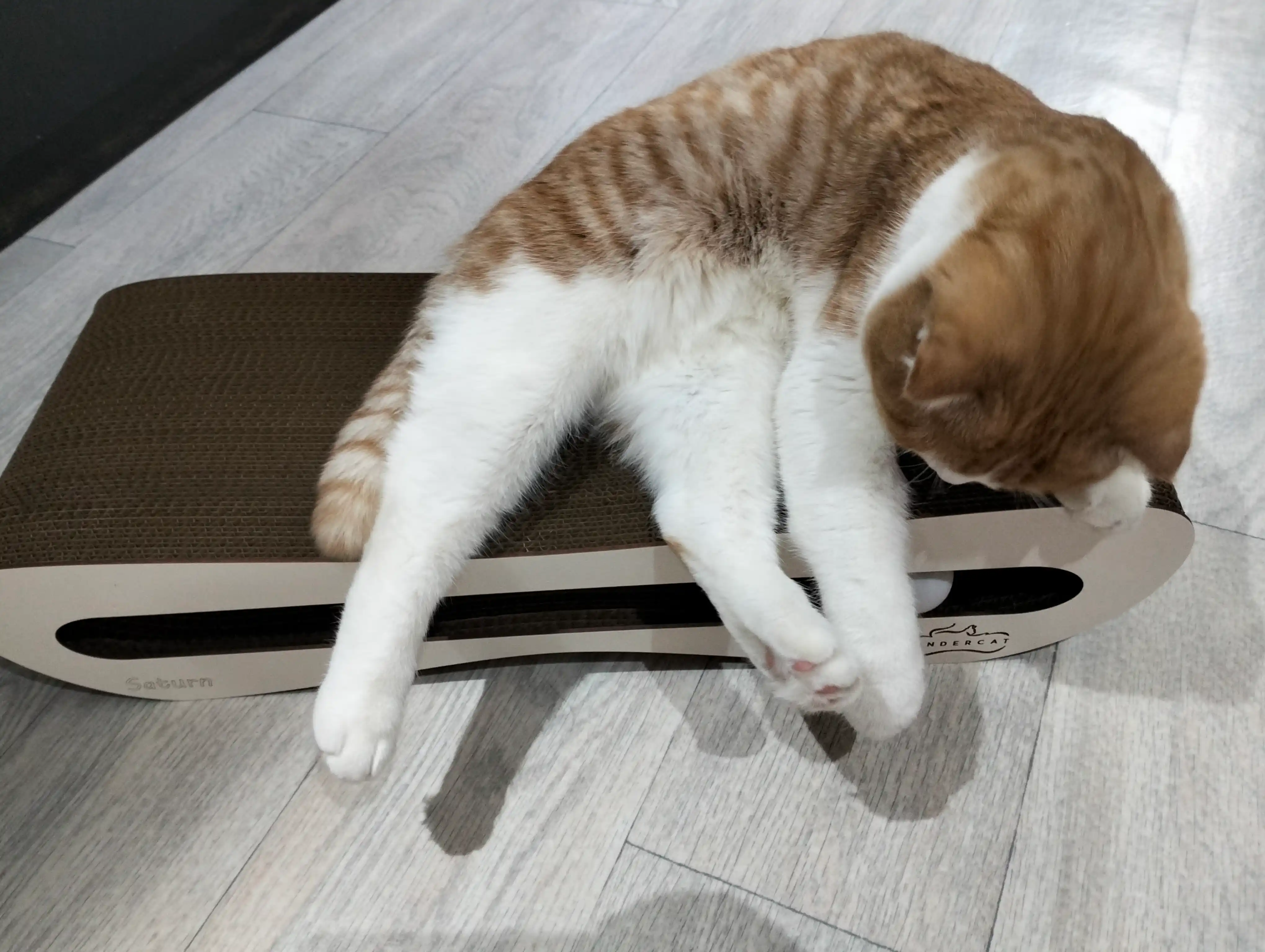 Tirnash ustuni KinderCat Saturn + koptok mushuklar uchun