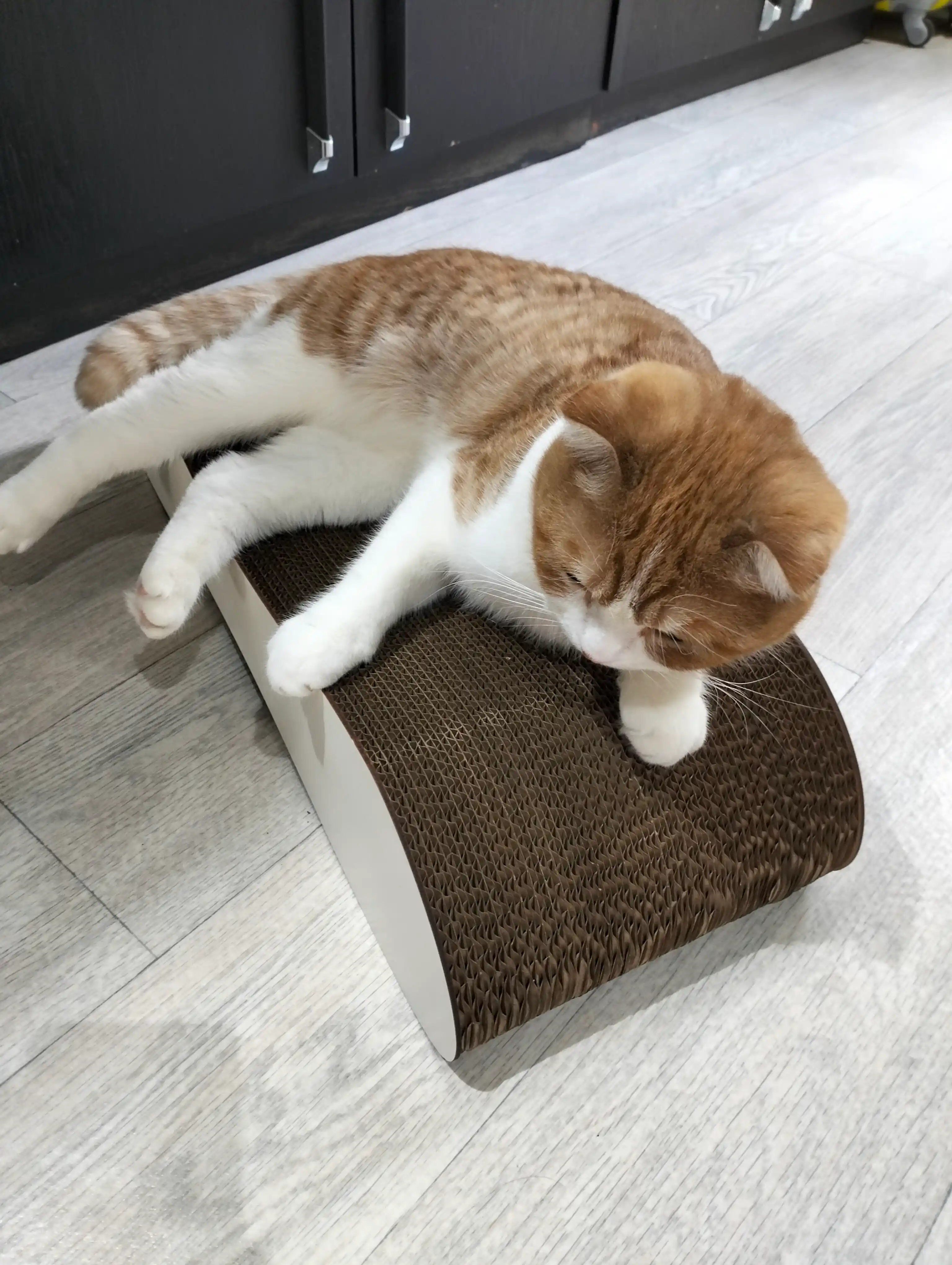 Tirnash ustuni KinderCat Saturn + koptok mushuklar uchun