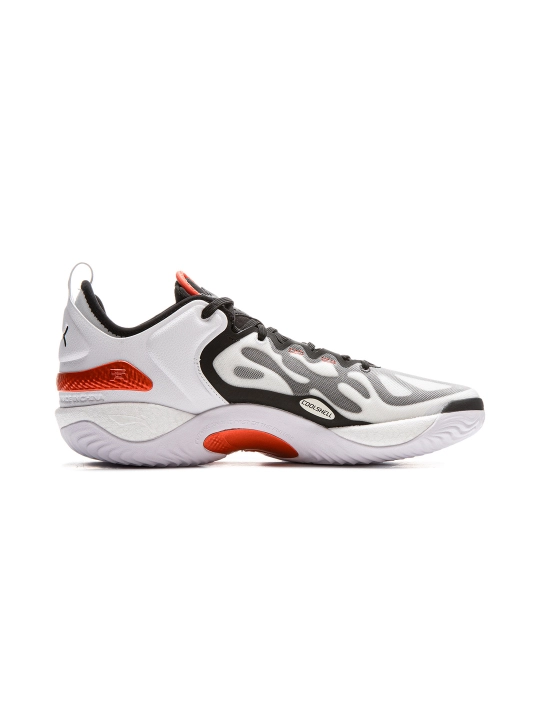 Баскетбольные мужские кроссовки Li-Ning