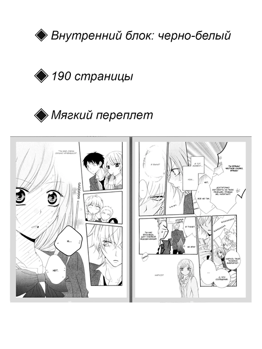 Манга, Идеальная парочка 1 том