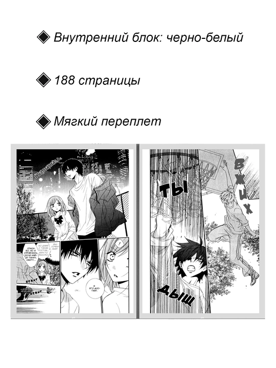 Manga, Ideal'naya parochka 2 tom