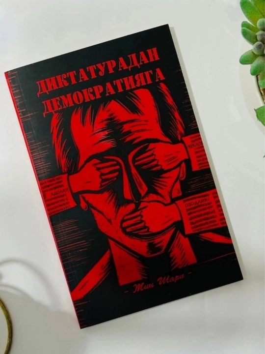 Диктатурадан Демократиyагача - 
