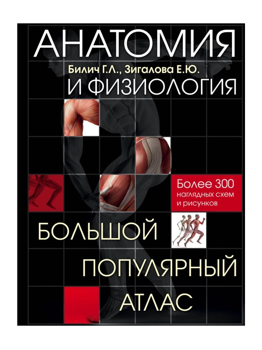 Anatomiya va fiziologiya, Katta mashhur atlas, Bilich G. L., Zigalova E. Yu. - 