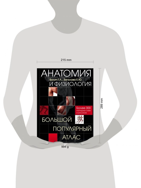 Анатомия и физиология, Большой популярный атлас, Билич Г.Л., Зигалова Е.Ю.