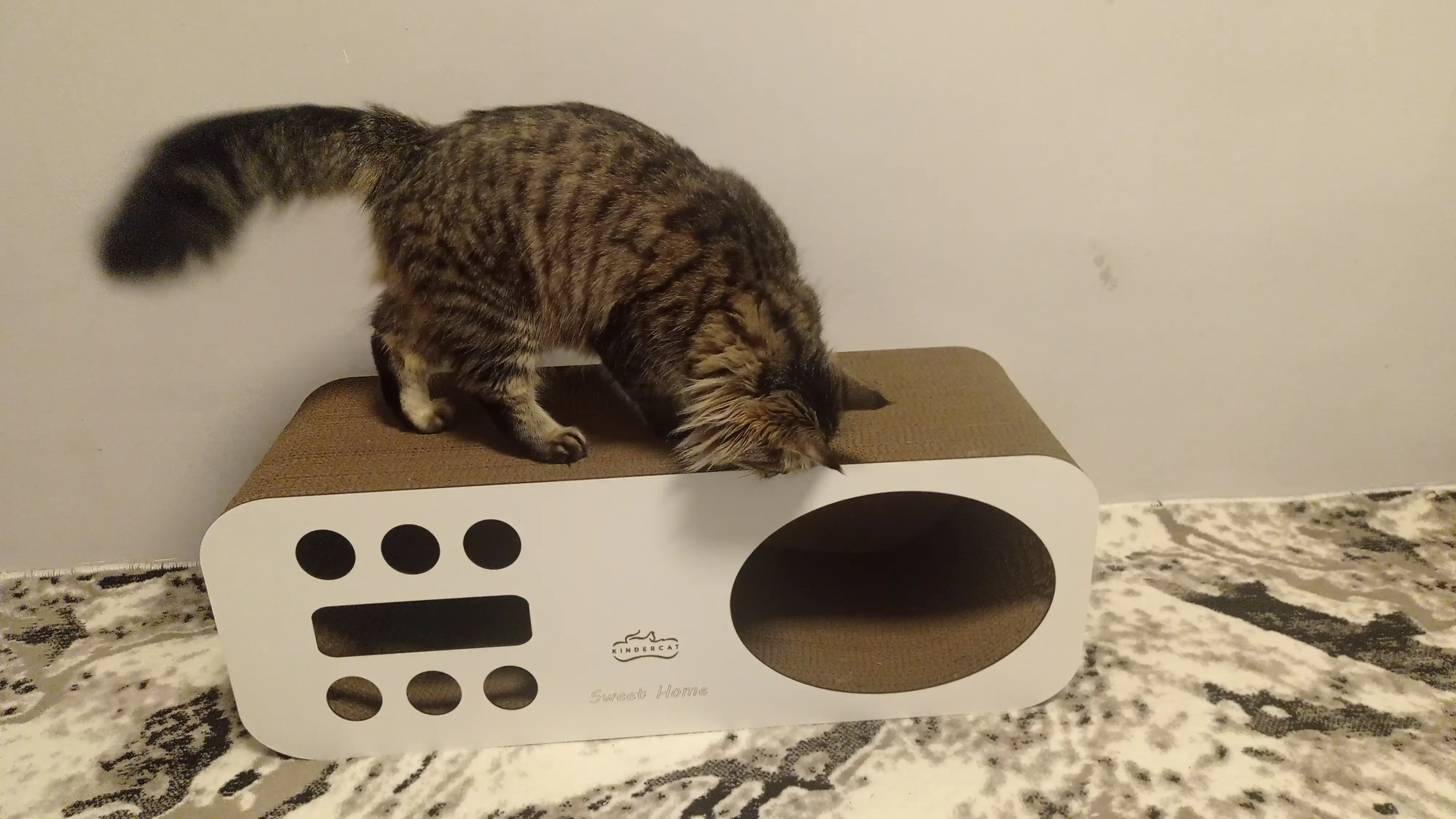 Mushuklar va mushukchalar uchun 3x1 karton tirnoqcha, Home KinderCat