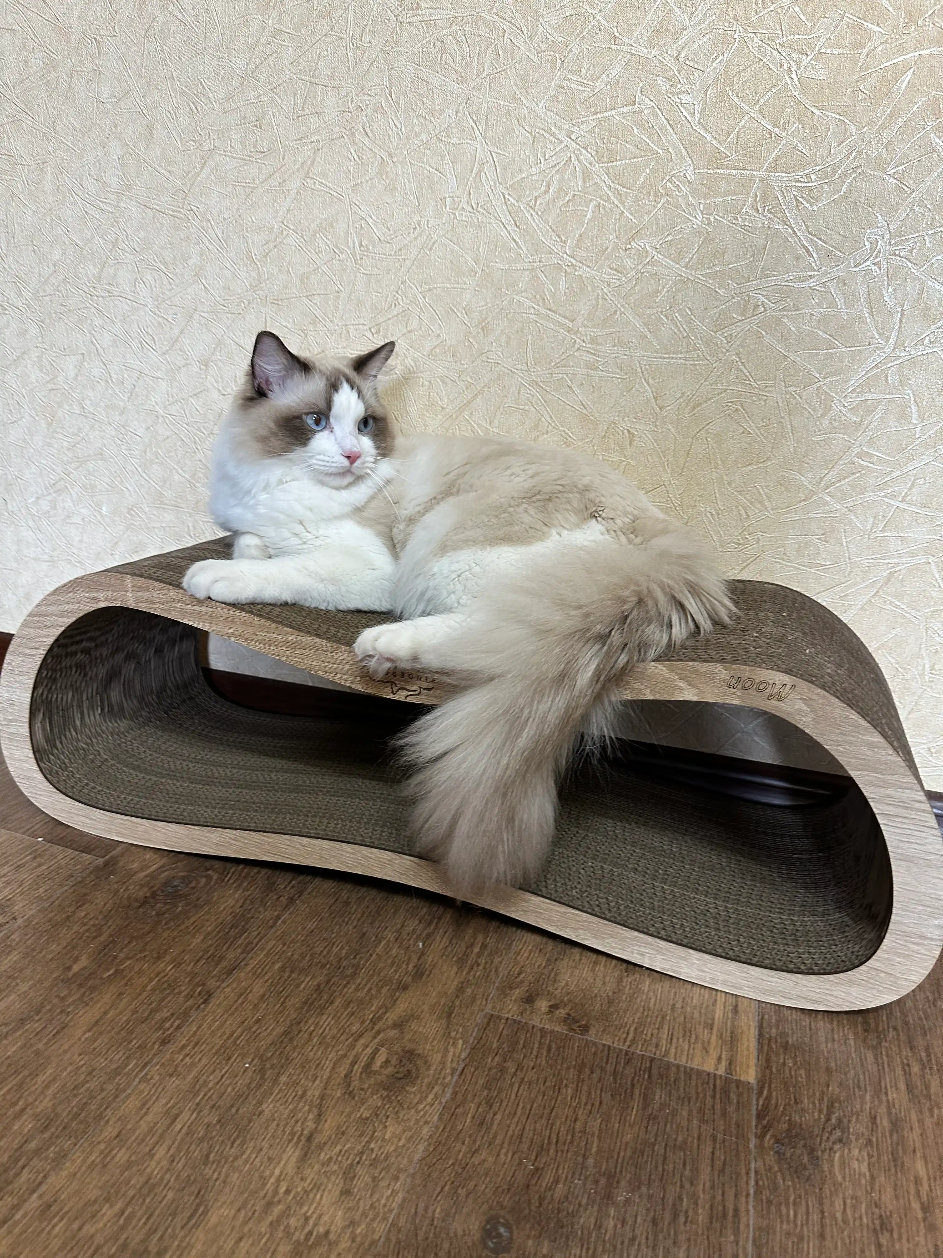Когтеточка картонная KinderCat Moon Wood, для кошек