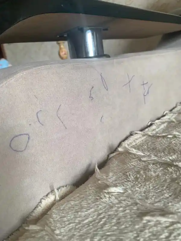 Антипятна для чистки ковров и мягкой мебели дыня Mister Dez Eco-Cleaning, 500 мл