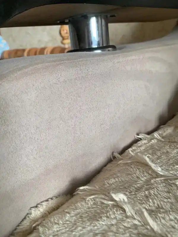 Антипятна для чистки ковров и мягкой мебели дыня Mister Dez Eco-Cleaning, 500 мл