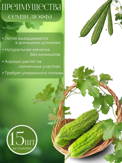 Lyuff mochalkasining urug‘lari, 15 dona