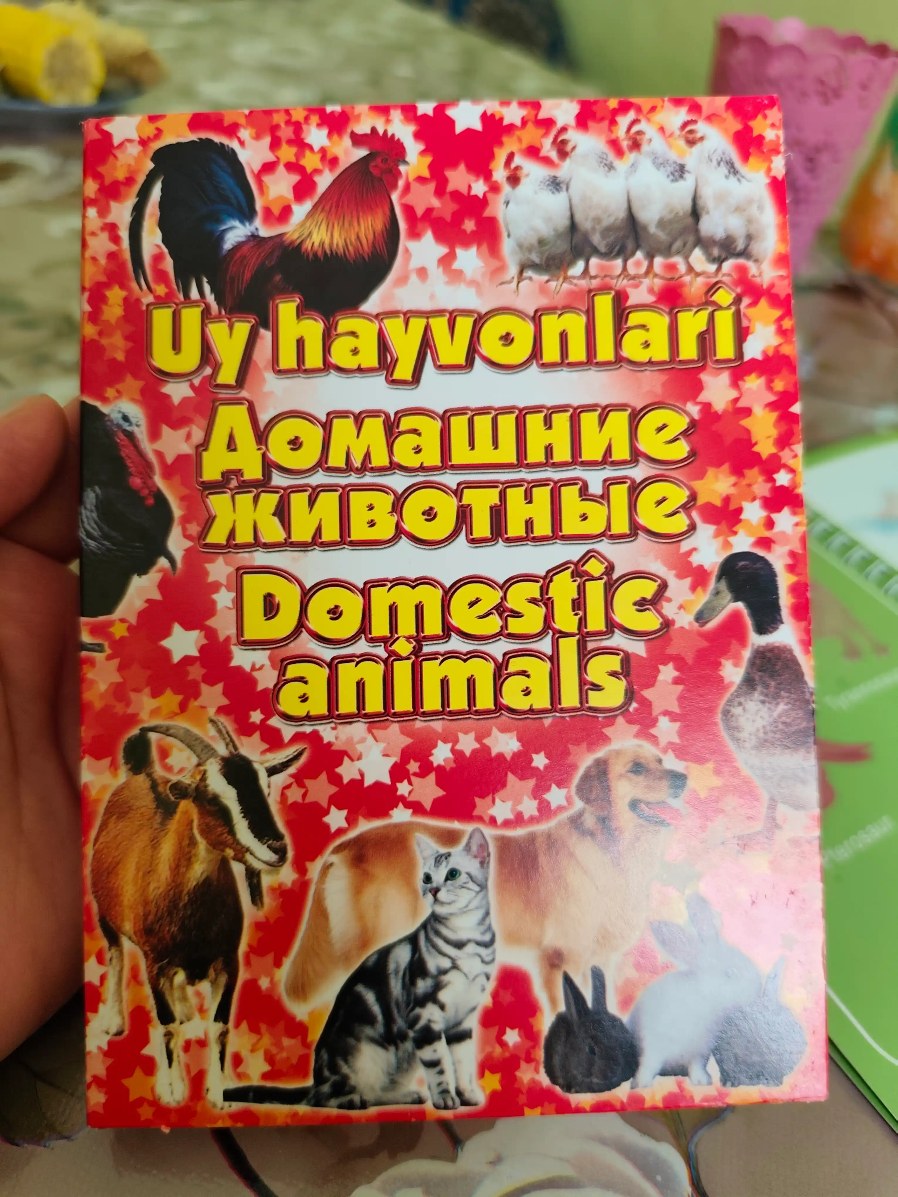Bolalar uchun rivojlantiruvchi kartalar, alifbo, uy hayvonlar, sabzavotlar, raqamlar