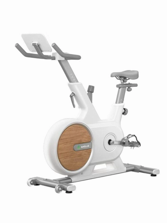 Axelus AX018 velotrenajyori, magnitli, professional - 