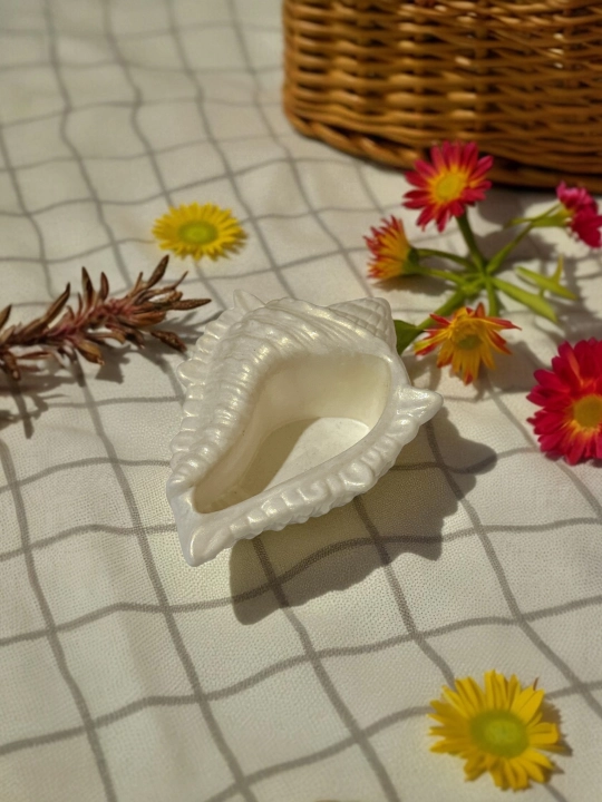 Dekorativ gips shkatulka "Rakovina", 17 × 11 × 5 sm