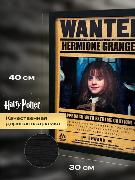 Harry Potter interyer kartinasi, ramkali poster, xona bezagi, fanatga sovg‘a
