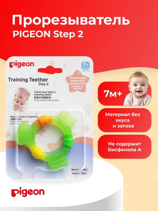 PIGEON Tish chiqarish bosqichi 2 - 