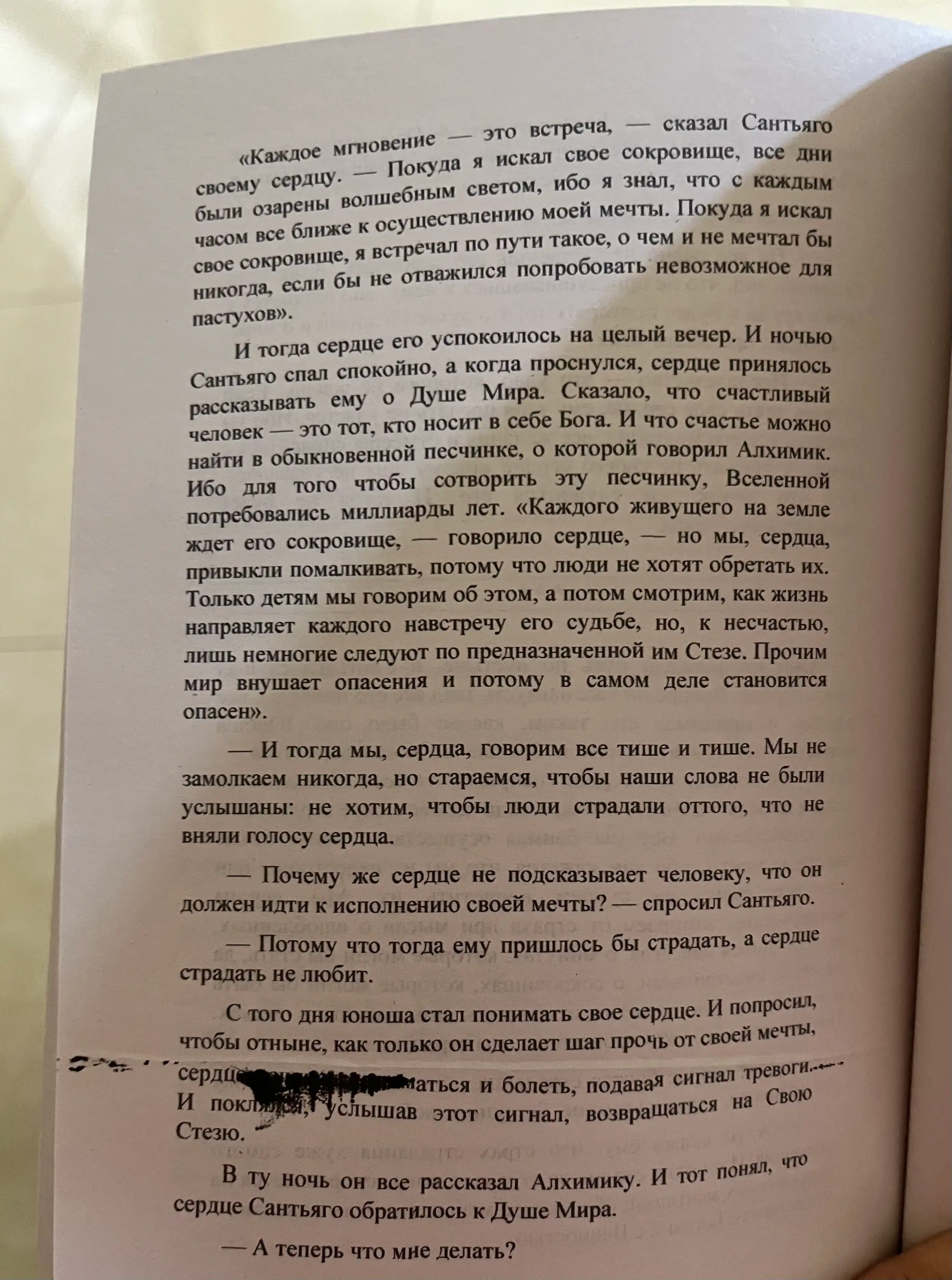Пауло Коэльо, Алхимик