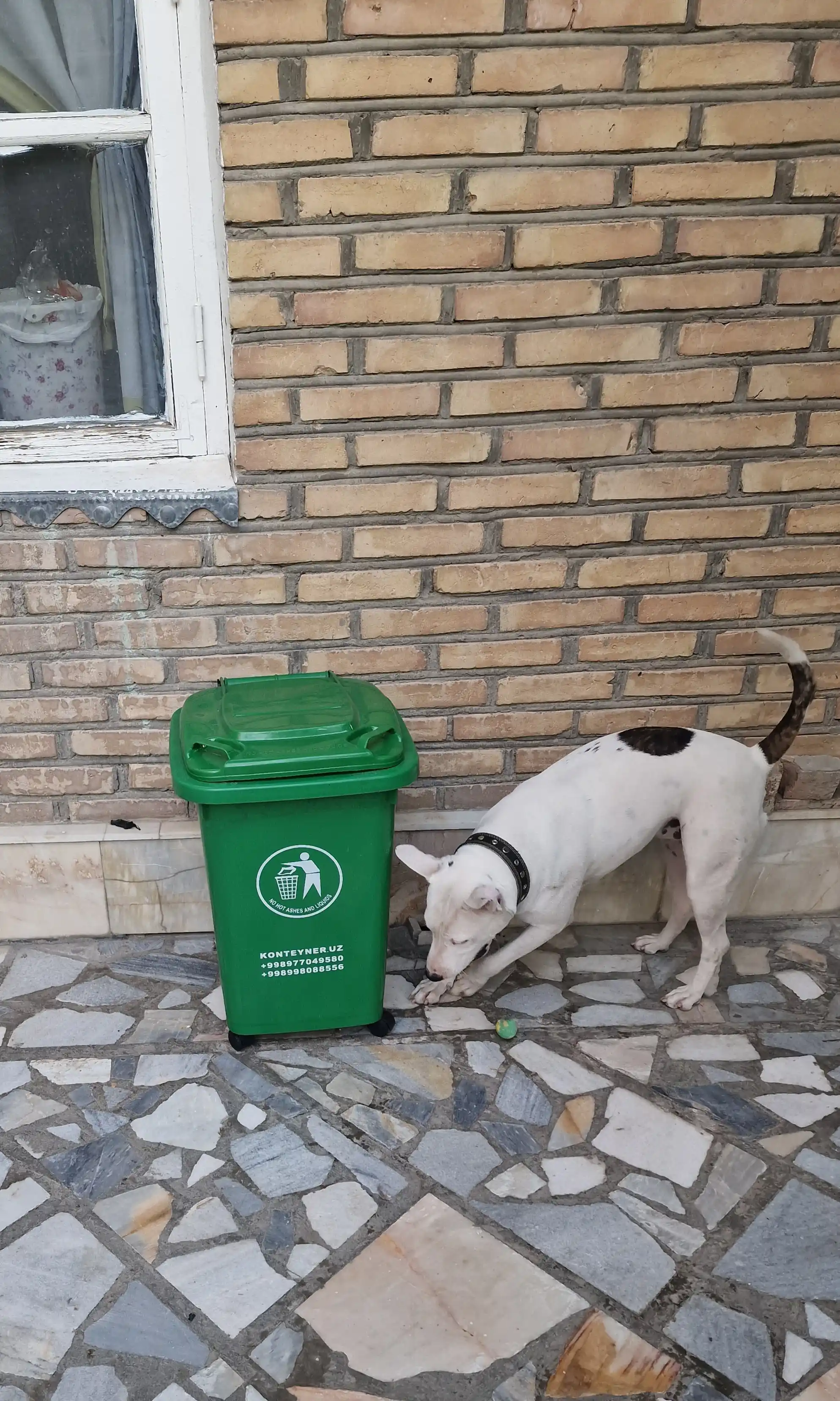 50 litrlik axlat chelagi, g‘ildirakli, qopqoqli — uy va ofis uchun mo‘ljallangan