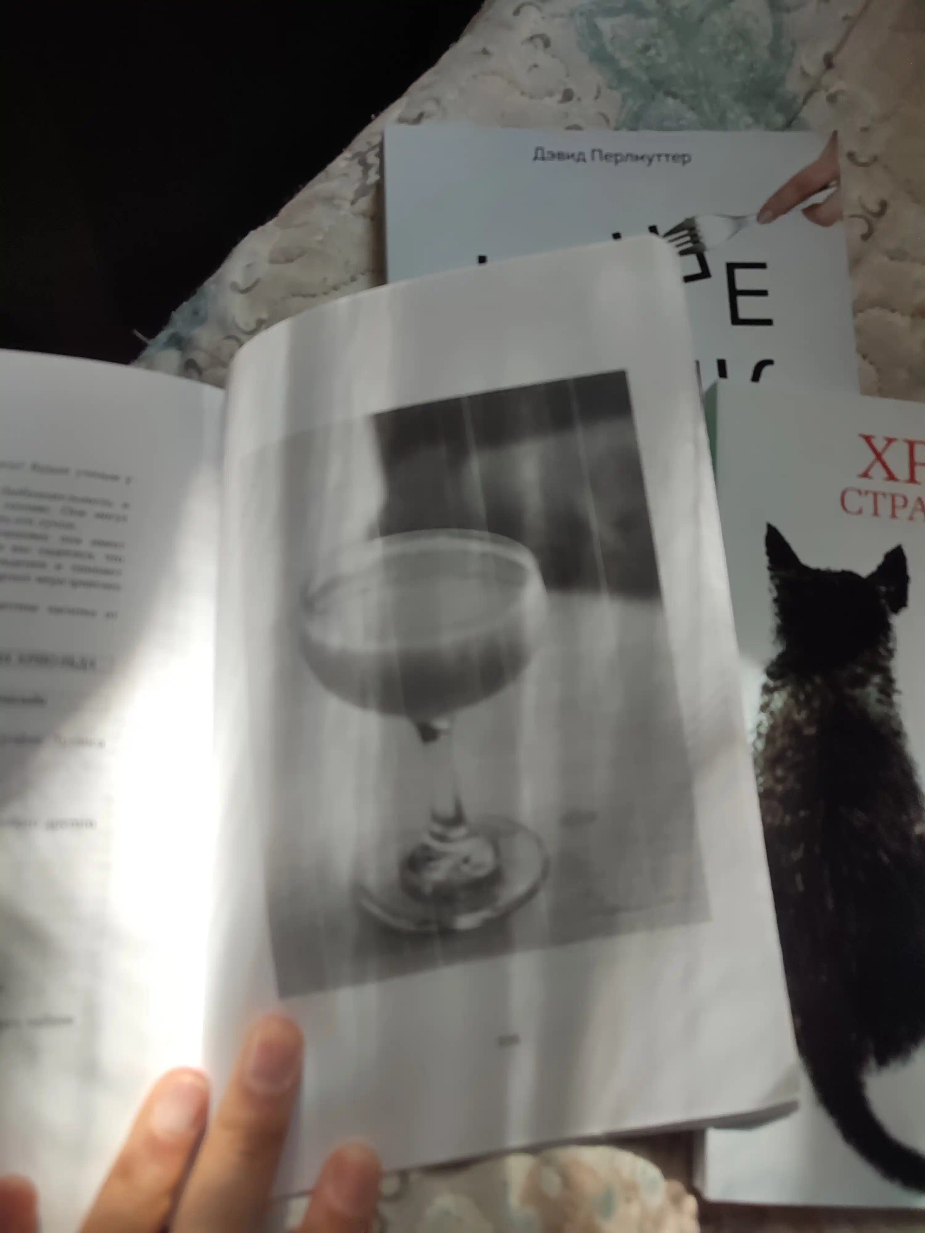 Кристин Лоберг, кишечник и мозг: как кишечные бактерии исцеляют и защищают ваш мозг