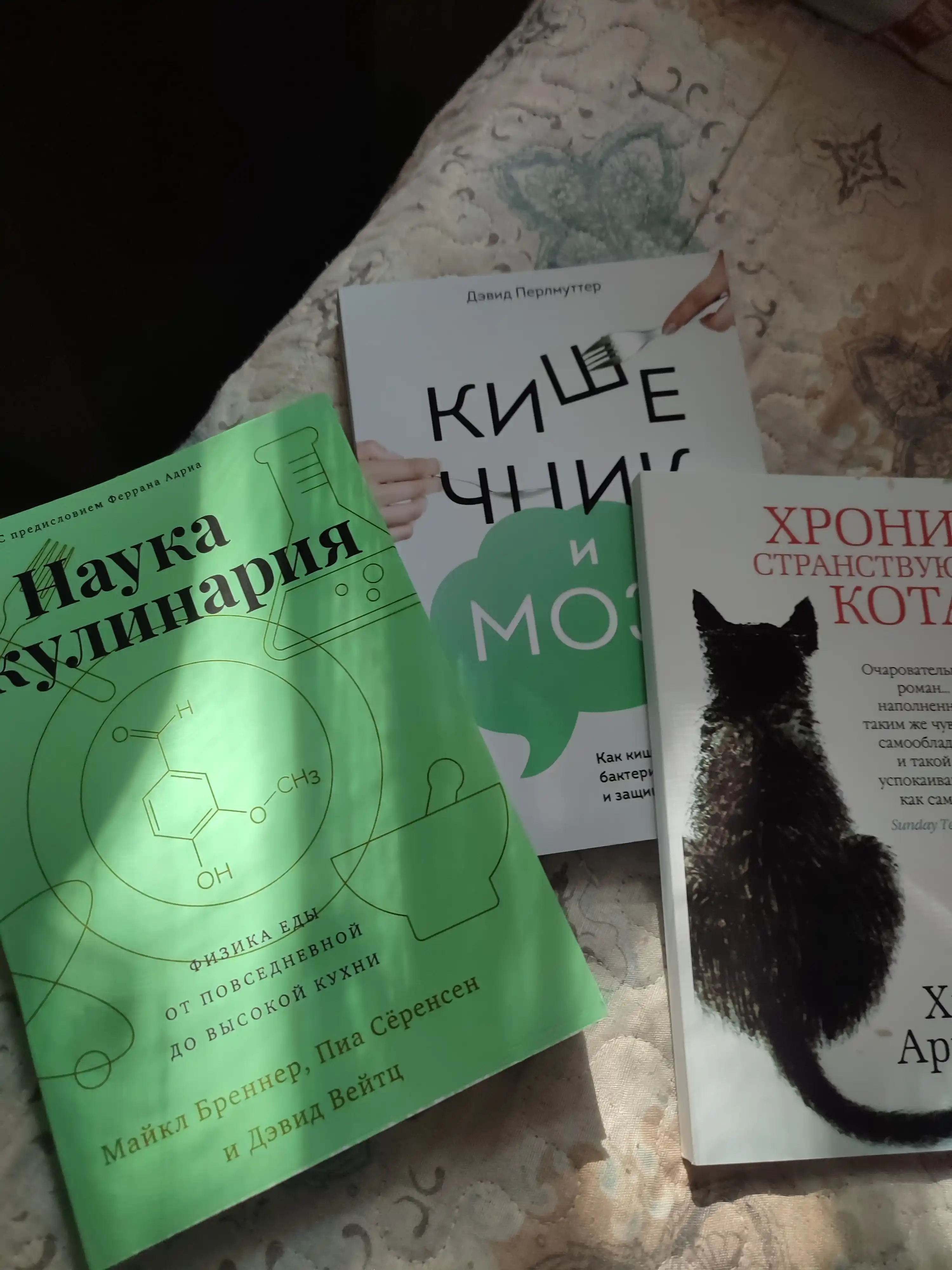 Кристин Лоберг, кишечник и мозг: как кишечные бактерии исцеляют и защищают ваш мозг