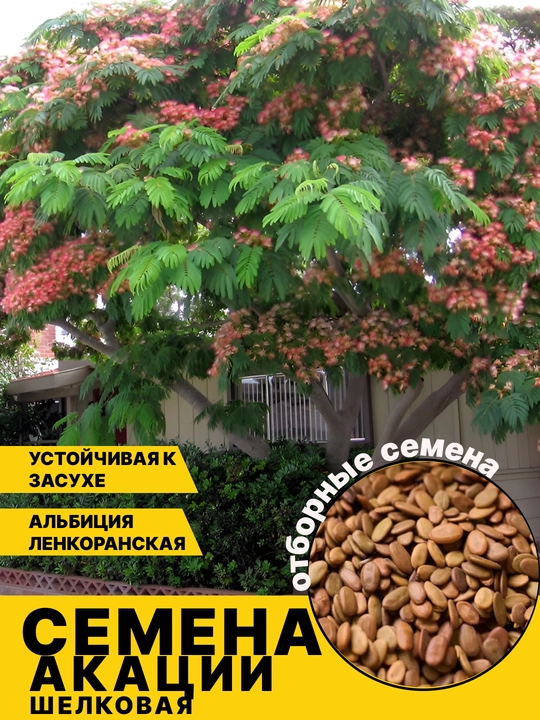 Семена дерева акации, шелковое растение цветок розового цвета 20 штук - 
