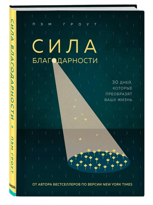 Сила благодарности. 30 дней, которые преобразят вашу жизнь - 