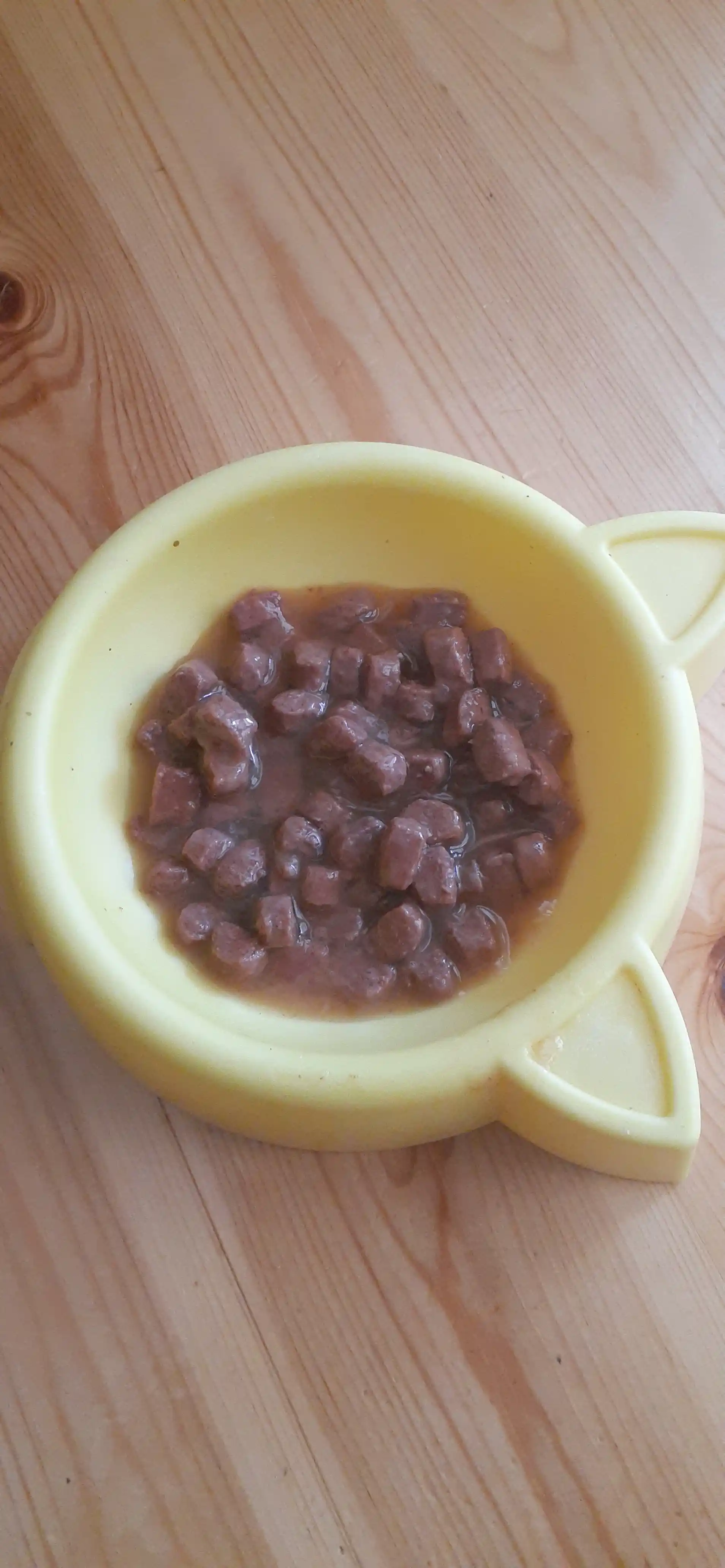 Darling nam ovqat, mushuklar uchun, sousdagi mol go'shti bilan, 75 gr 26 dona