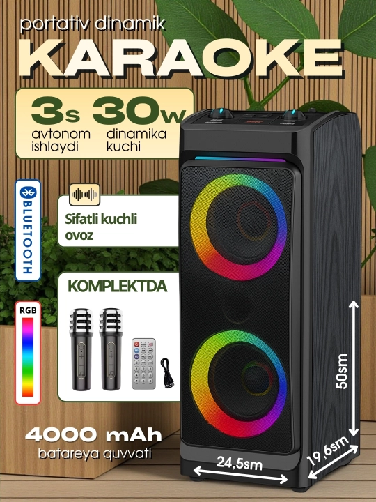 Portativ kalonkalar karaoke, Bluetooth kalonka mikrafon, masofadan boshqarish pulti
