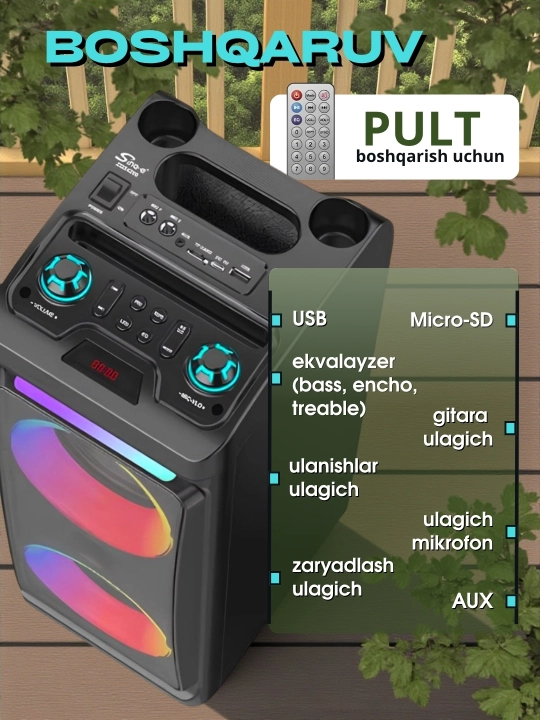 Portativ kalonkalar karaoke, Bluetooth kalonka mikrafon, masofadan boshqarish pulti