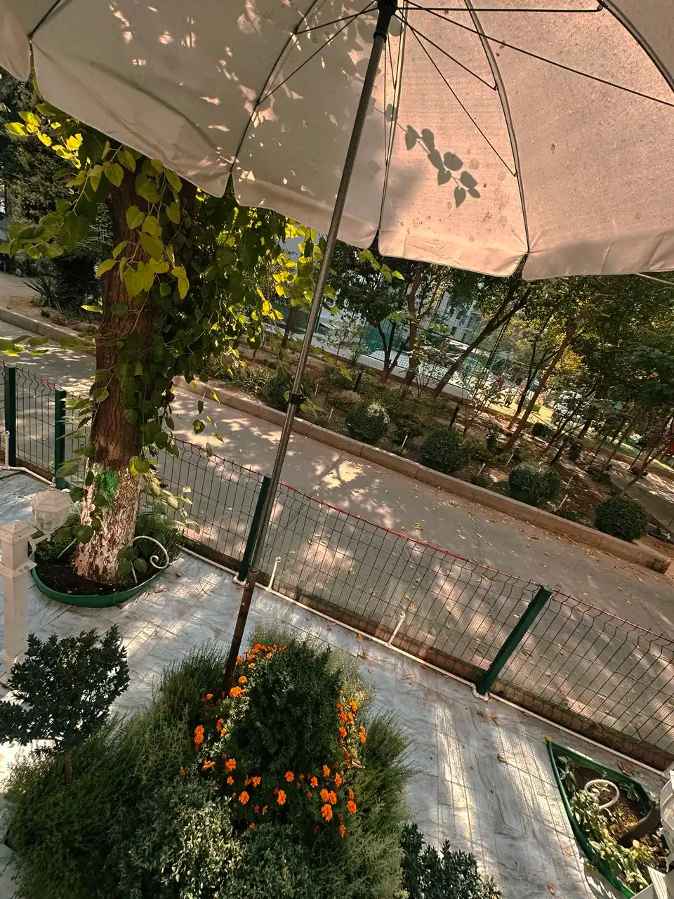 Standartpark Kanta bog‘ hoshiyasi (Standartpark KANTA)