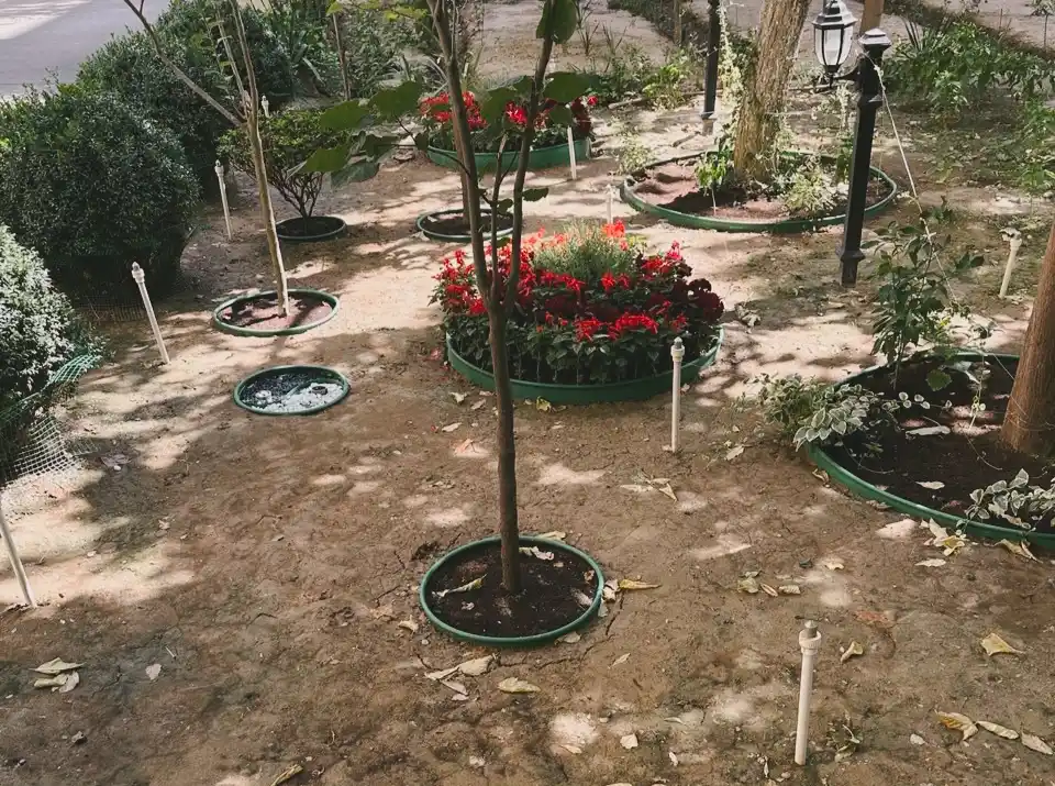 Standartpark Kanta bog‘ hoshiyasi (Standartpark KANTA)