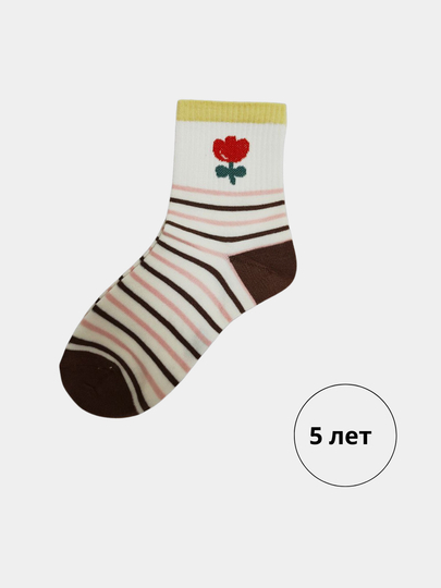 Benzin generatori uchun DIY ovoz yalıtımı