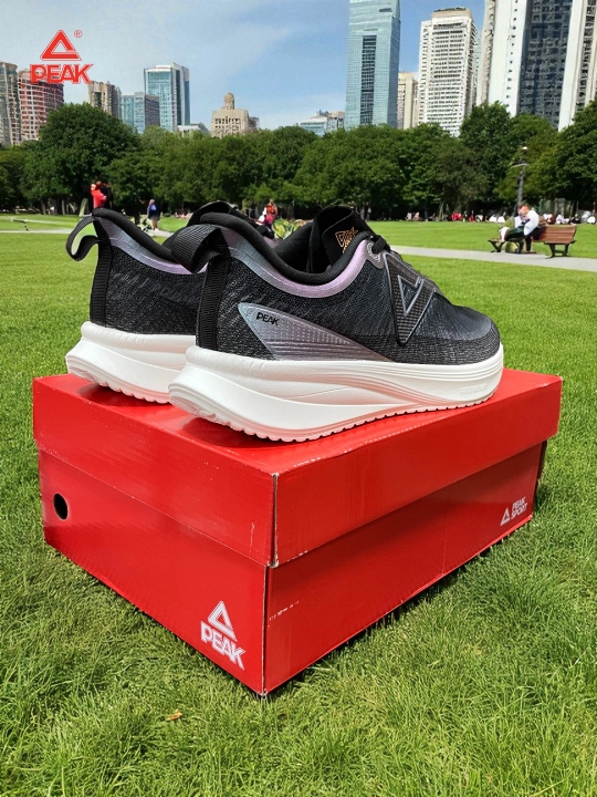 PEAK SPORT erkaklar krossovkasi, 40-46, 47, 48 Running, yugurish uchun