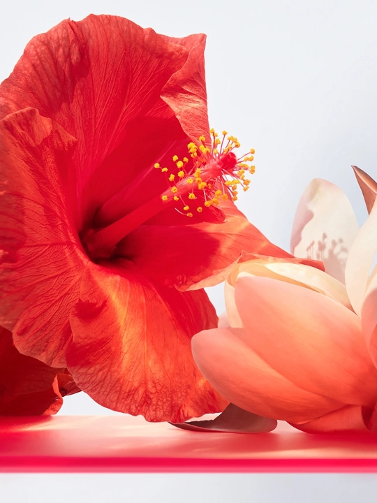 Bvlgari Omnia Coral Eau de Toilette, 100 мл для женщин, фруктово-цветочный аромат, Италия