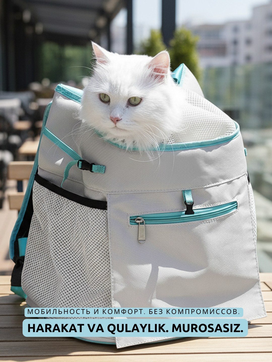 Onam bilan trans jinsiy aloqa