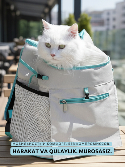 Fotosurat koylakni kotardi Sargishlarning eshakda sikilgan yaqindan olingan fotosuratlari